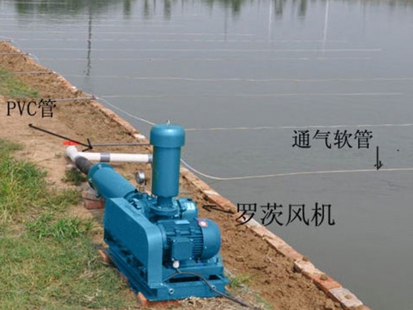 水產(chǎn)養(yǎng)殖曝氣安裝